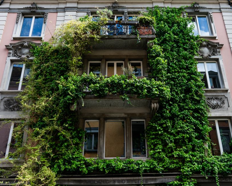 Zateplenie a okná